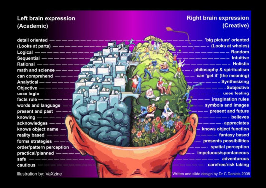 Left and Right brain diagram Image of Brain showing artistic right side and academic left side
